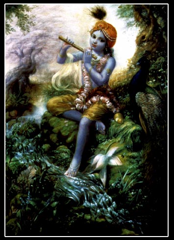 Krishna Avatar