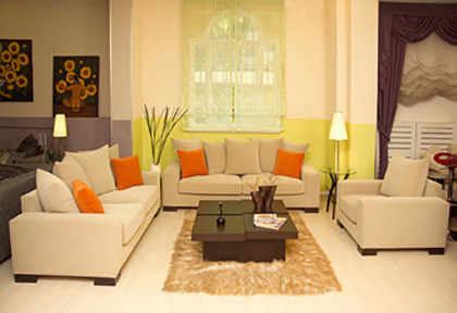 Vastu Shastra Tips, Best Colors For Living Room According To Vastu